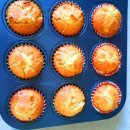 백록초등학교 병설유치원 이미지