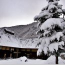 초밥천국 이미지