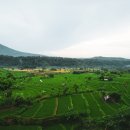 달구지마을 이미지