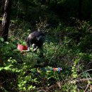 매봉산 농장 이미지