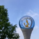 왈왈스쿨 이미지