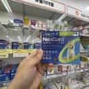 녹십자약국 이미지