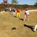 미곡초등학교 이미지