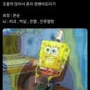 감나무묵집 | May - 2/2