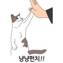 선 동물병원 이미지