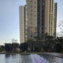 신연초등학교 이미지