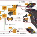 신체의 항상성 유지와 조절 이미지