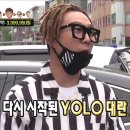 욜로(YOLO) 이미지