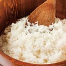 나들이 일식 이미지