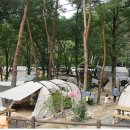 내장산국립공원 내장야영장 이미지