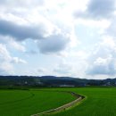 임실치즈마을 이미지