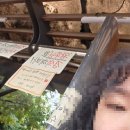 서울뮤직센터 | 서울파크뮤직페스티벌 다녀온 후기