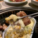 봉고기