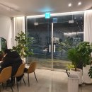 카페마인드어스(cafe mindus)