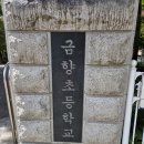 금향초등학교 이미지