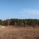 포항시북구10 이미지