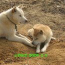 복둥이농장 이미지