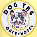 독특하개 | [신림 데이트] N번째 재방문 하는 애견카페 &#34;독특하개&#34; 후기