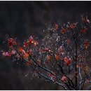 풍경하루 이미지