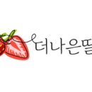 더나은딸기