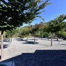 금다래캠핑장 이미지