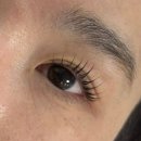신사역 속눈썹펌 [은브로우 앤 뷰티] CI컬 후기