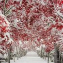 세상살이 이미지