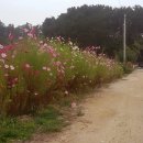 해솔길펜션 이미지