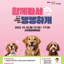 댕댕하개 이미지