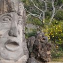 제주써니 이미지