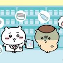 모몽가 이미지