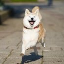 그랜드타이어(양산지점) 이미지