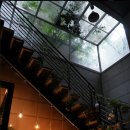 얼라이브홀 이미지