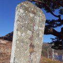 김해김씨 열녀비 이미지