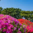 수원-0345 Daum카페