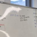 24/25 비발디 보드강사 정산