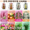 충대꽃화원 이미지