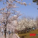 장자대로 이미지