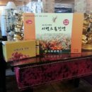 스톤트리