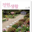 일상 속 생활 꽃꽂이 이미지