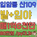 강릉입암공인중개사사무소 이미지