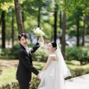 순간의기록 | 안양 파티오벨라 마리에가든 본식스냅 숲속 요정 같았던 하루 (식대,주관,대관료 정보)