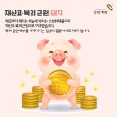 황금돼지 이미지