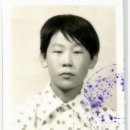 이끌려 이미지