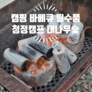 숯부리숯불바베큐 | 완벽한 바베큐를 위한 캠핑준비물! 청정챔프 대나무숯 구이용참숯 비장탄 리얼 후기