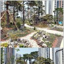 옥산조경 - 양천구 목동중앙서로7길 16-14 | 옥산조경