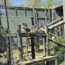 소공원 어린이공원(어28) | 전주동물원 벚꽃 드림랜드 식당 먹거리 메뉴 주말 방문 후기