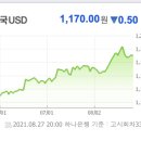 신풍태양광발전소 이미지