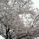 강변로길 이미지