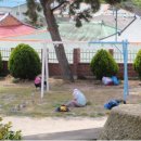 문내 우수영초등학교 이미지